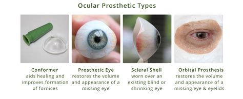 The Science Behind the Magic: How the Demise Ocular Device Works